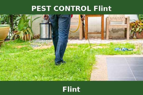 PEST CONTROL Flint